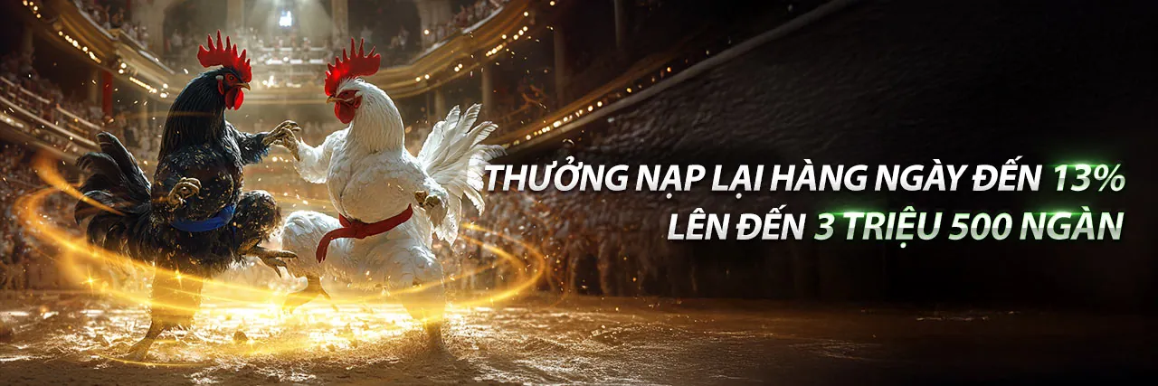 Đá Gà Trực Tuyến 90ok – Sân Chơi Đỉnh Cao 2026